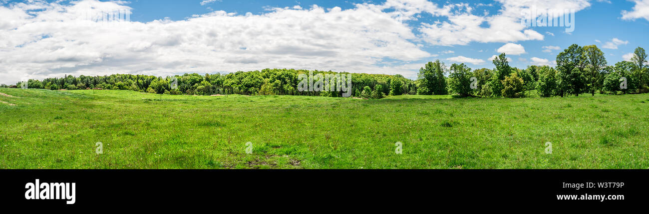Nature preserve area showing green grass field with green trees on a hot summer sunny day with blue sky and white clouds Stock Photo