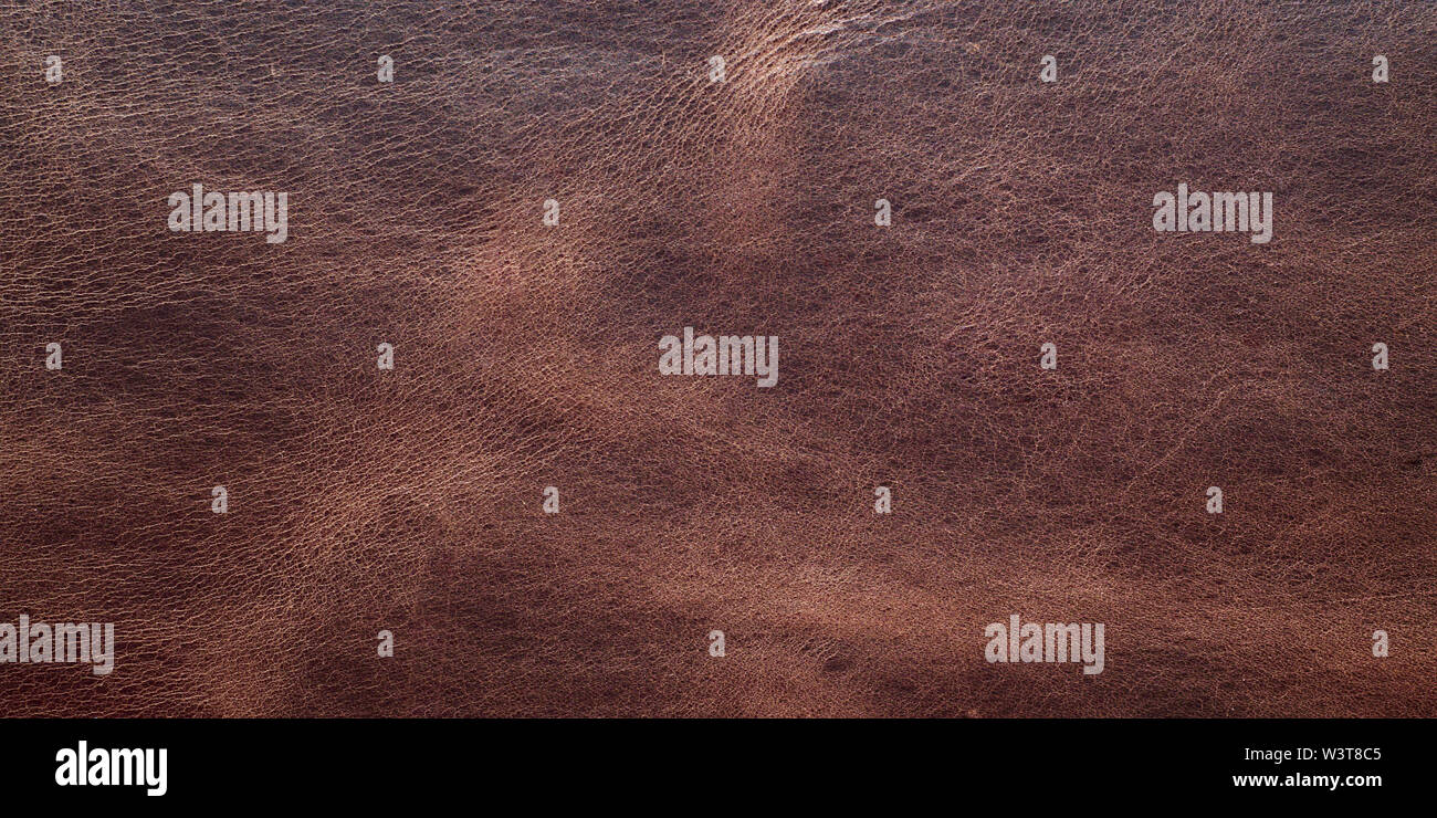 Seamless brown leather texture, panorama background. Stock Photo