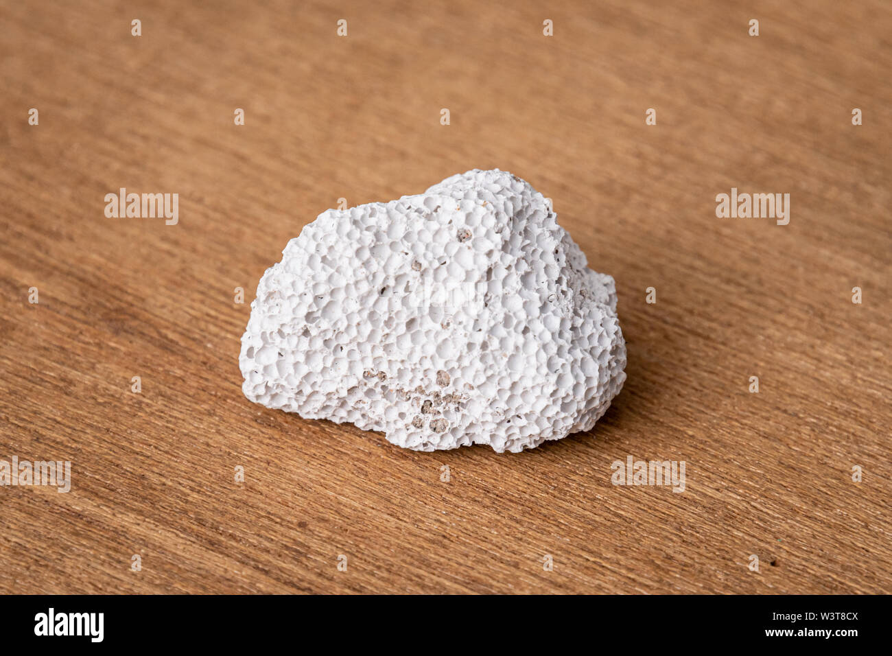 White coral gemstone gem jewel mineral found at maritime areas Stock