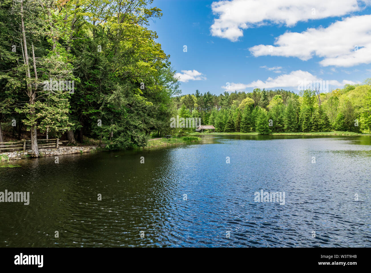 Cottage lake scene with lake, bridge, evergreen trees on summer sunny
