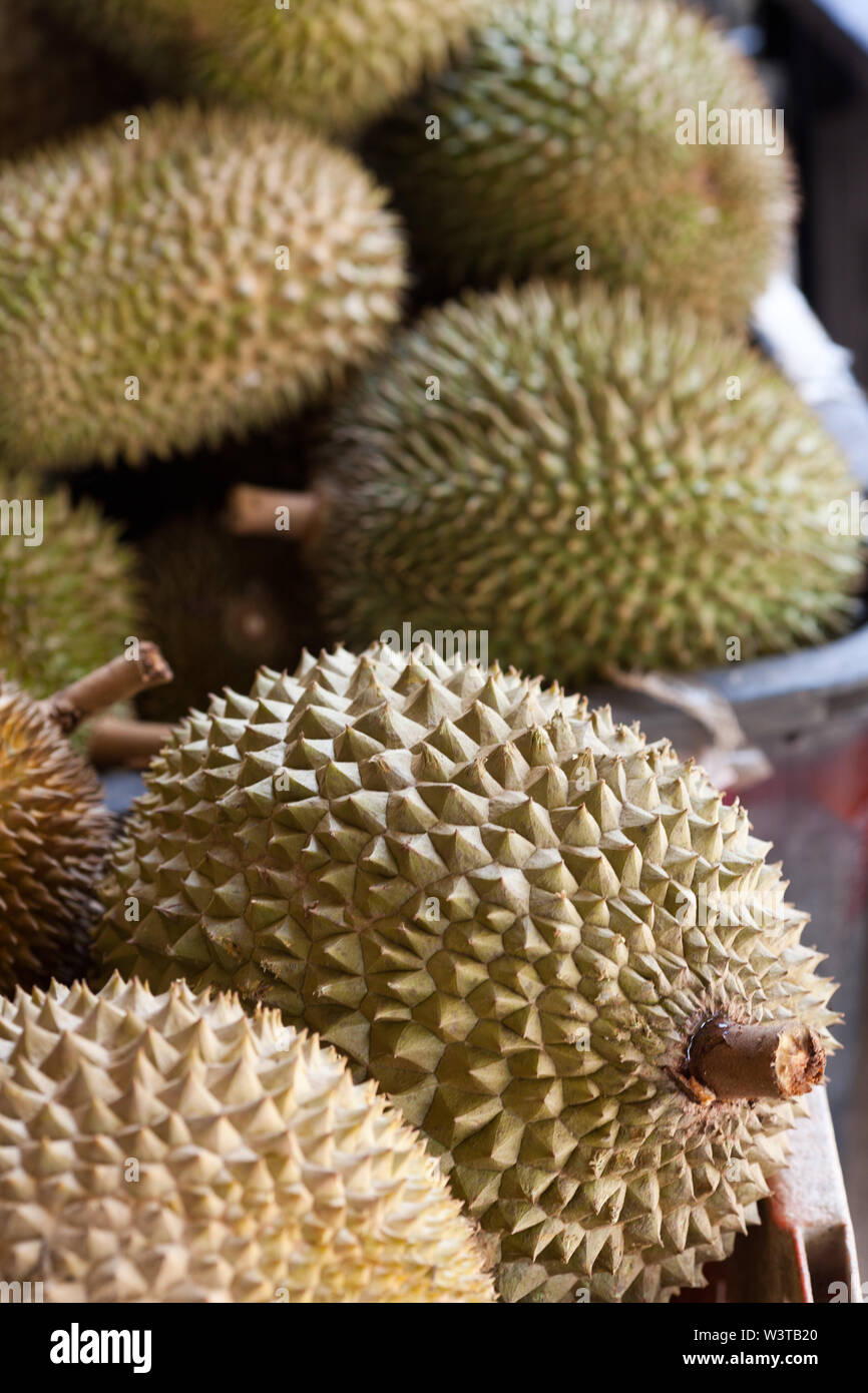 Malaysian durians for sale in an outdoor makret Stock Photo