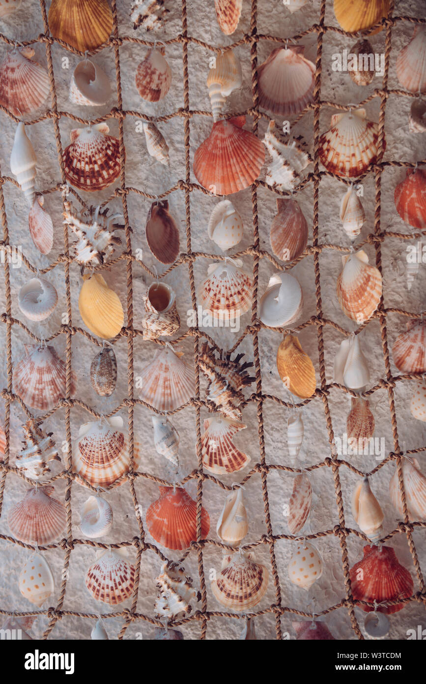 Decoration For Interior Decoration Of Walls Natural Beauty