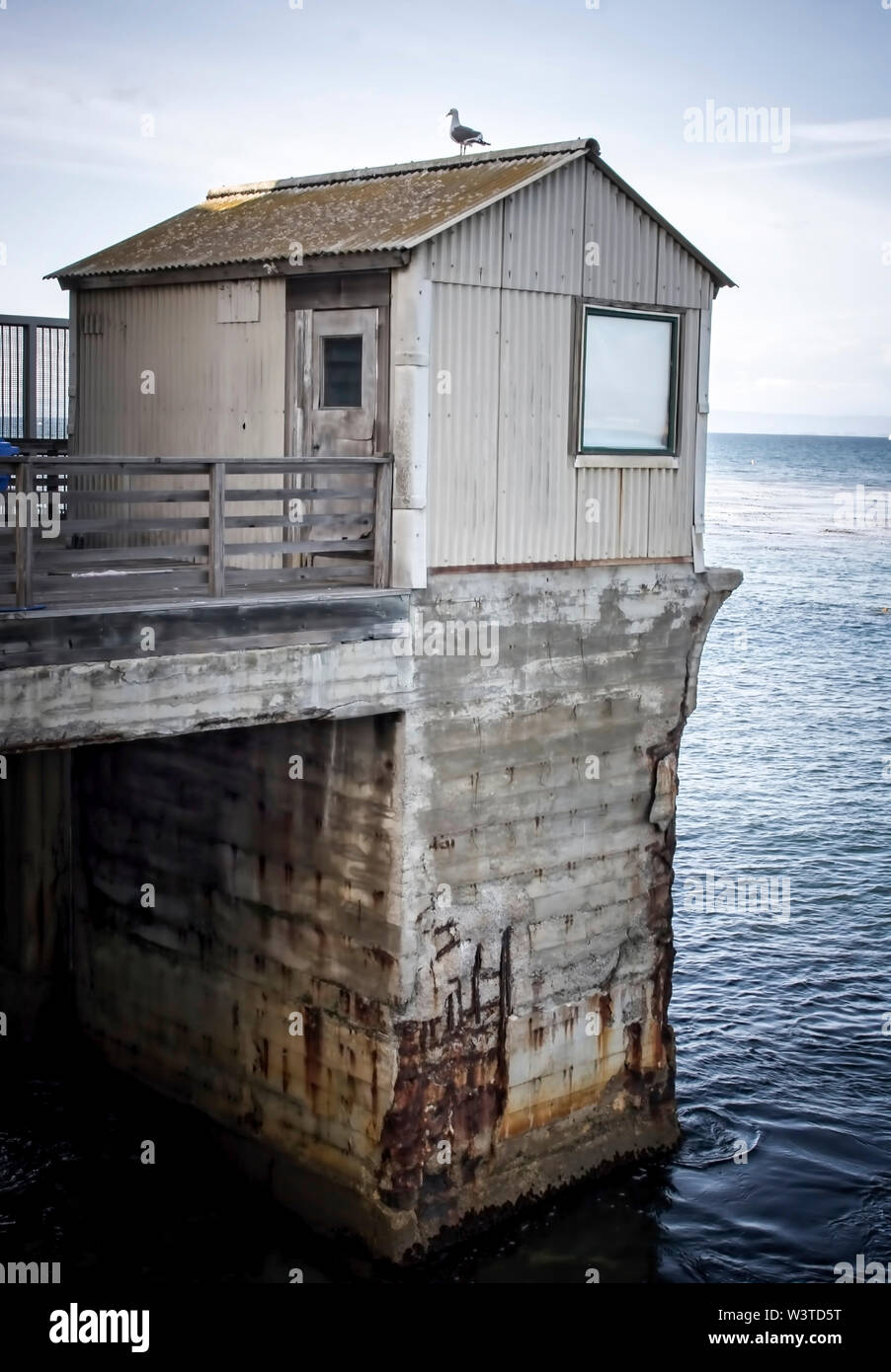 Single gull sits on old rusting building at end of pier in California seascape. Stock Photo