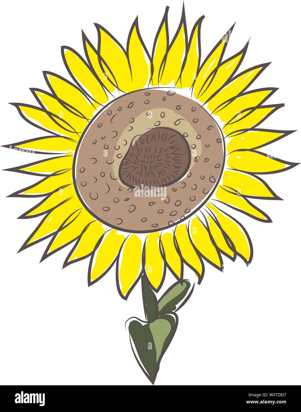 Set Of Color Sunflower Grain Seed Sketch Stock Illustration - Download  Image Now - Art, Black Color, Cereal Plant - iStock