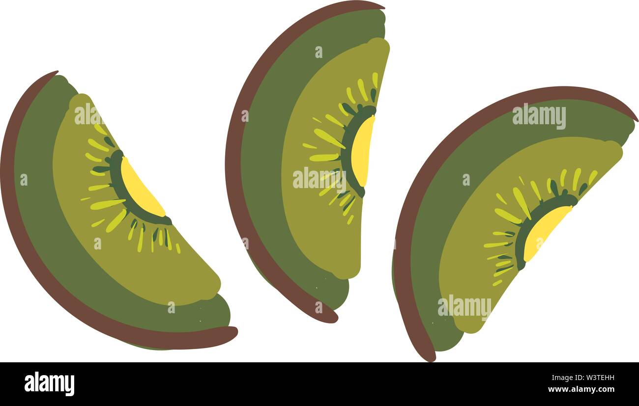 A 3 portion of a sliced kiwi fruit, vector, color drawing or illustration. Stock Vector
