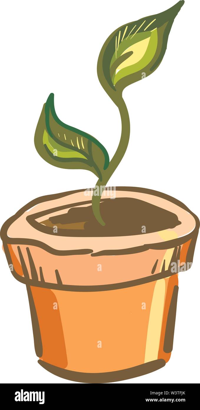 A small plant with two leaves in a orange pot, vector, color drawing or