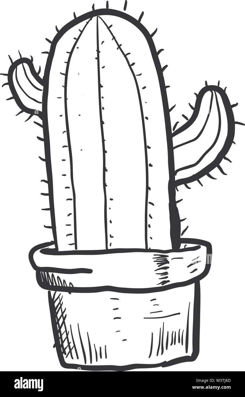 Sketch of a cactus in a pot, illustration, vector on white background