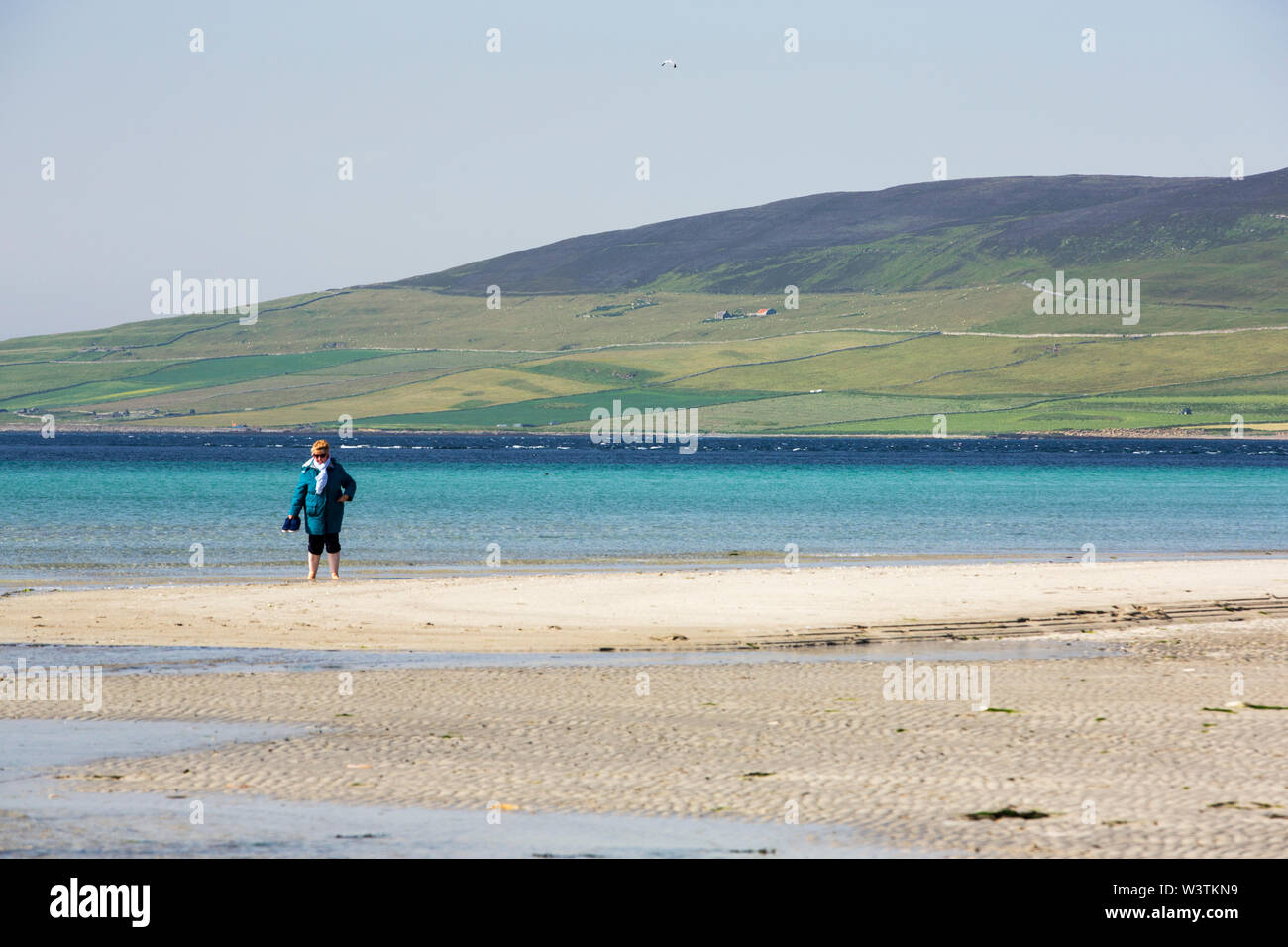A woman paddling at Sands of Evie in Eynhallow sound between Orkney, and Rousay, Scotland, UK. Stock Photo