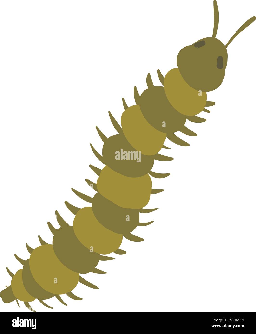Long green centipede, illustration, vector on white background. Stock Vector
