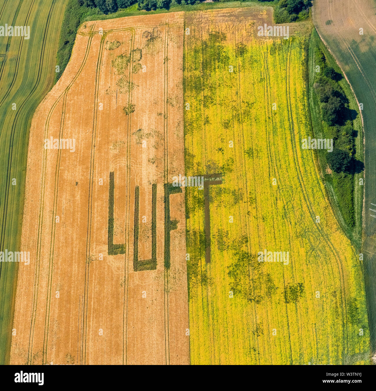 Aerial photo of an inscription AIR on the cornfield at Mechtenberg on the city border of Essen and Gelsenkirchen in Gelsenkirchen in the Ruhr area in Stock Photo
