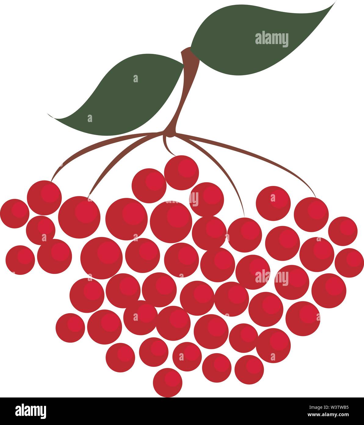 Red berry cluster Stock Vector Images Alamy