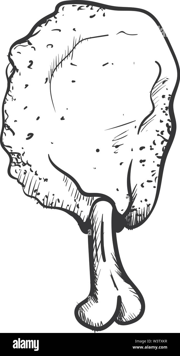 Chicken leg sketch, illustration, vector on white background. Stock Vector