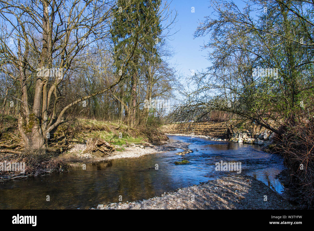 river kingfisher, Die Lauter, kleiner Fluß bei Kirchheim unter Teck Stock Photo