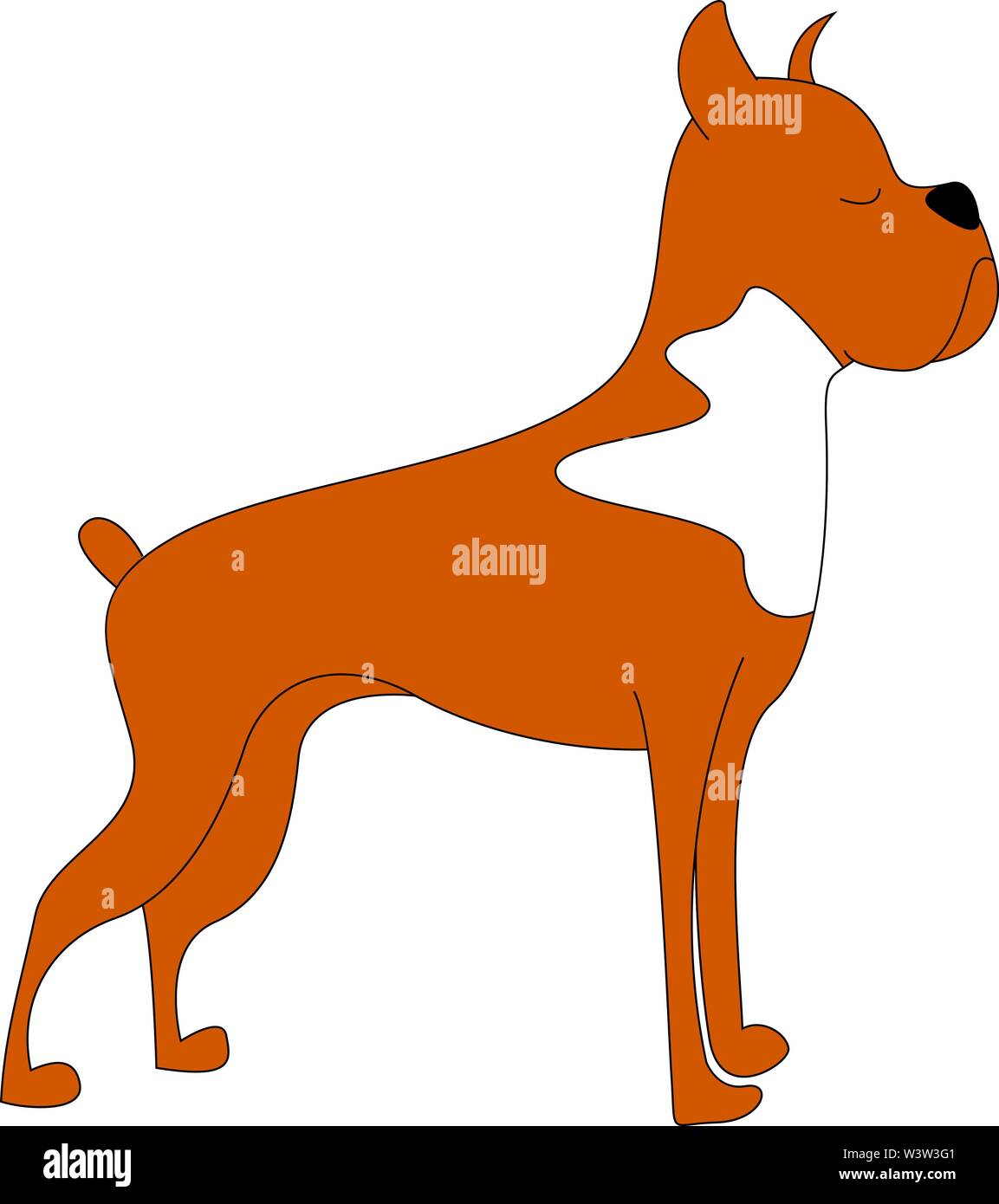 Boxer dog, illustration, vector on white background. Stock Vector