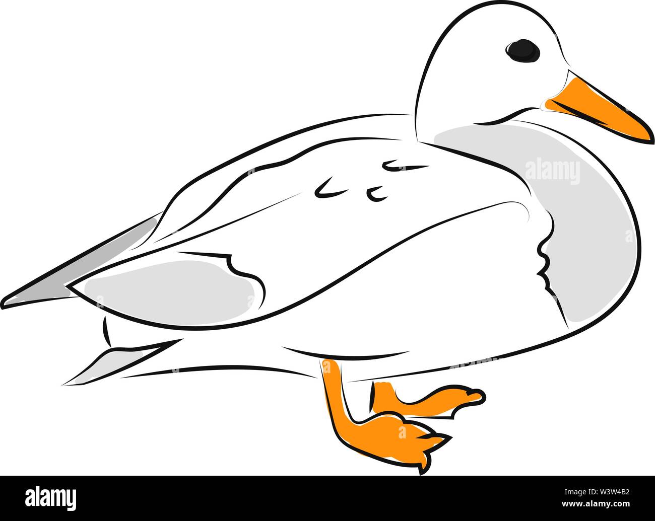 White duck, illustration, vector on white background. Stock Vector