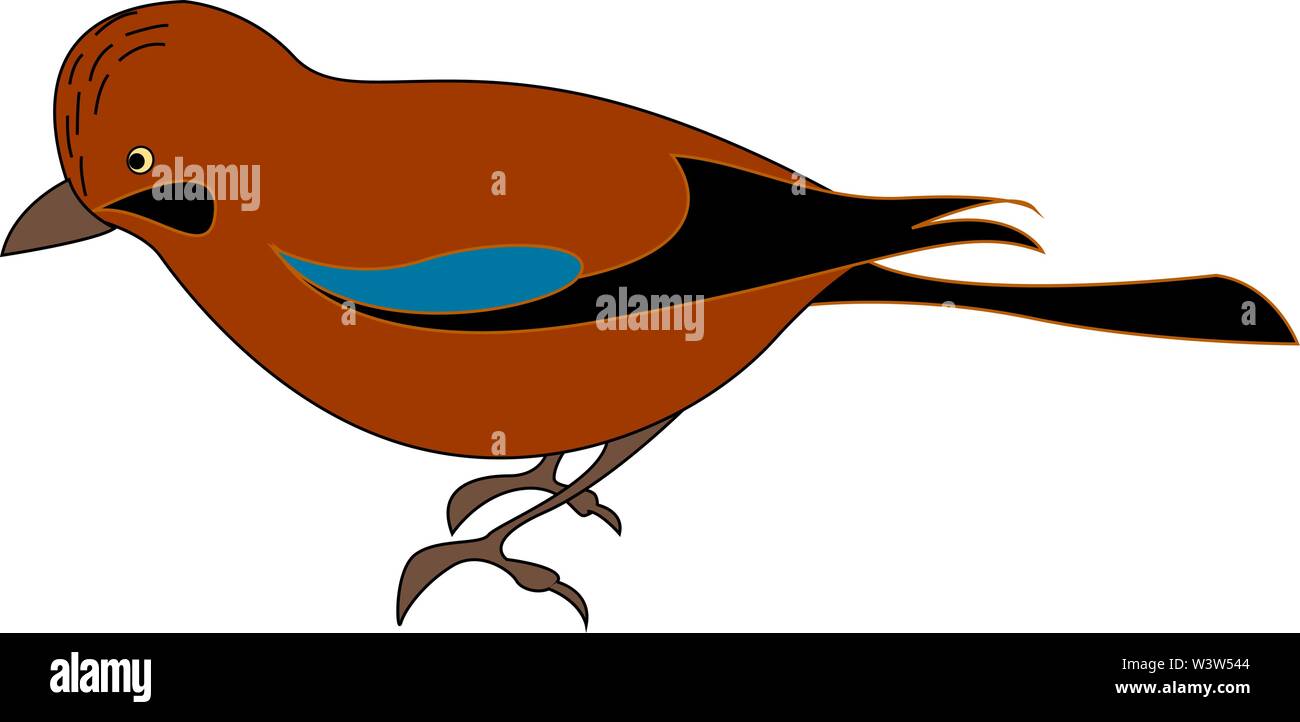 Red jay bird, illustration, vector on white background Stock Vector
