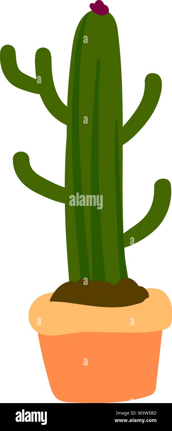 Long cactus in pot, illustration, vector on white background. Stock Vector
