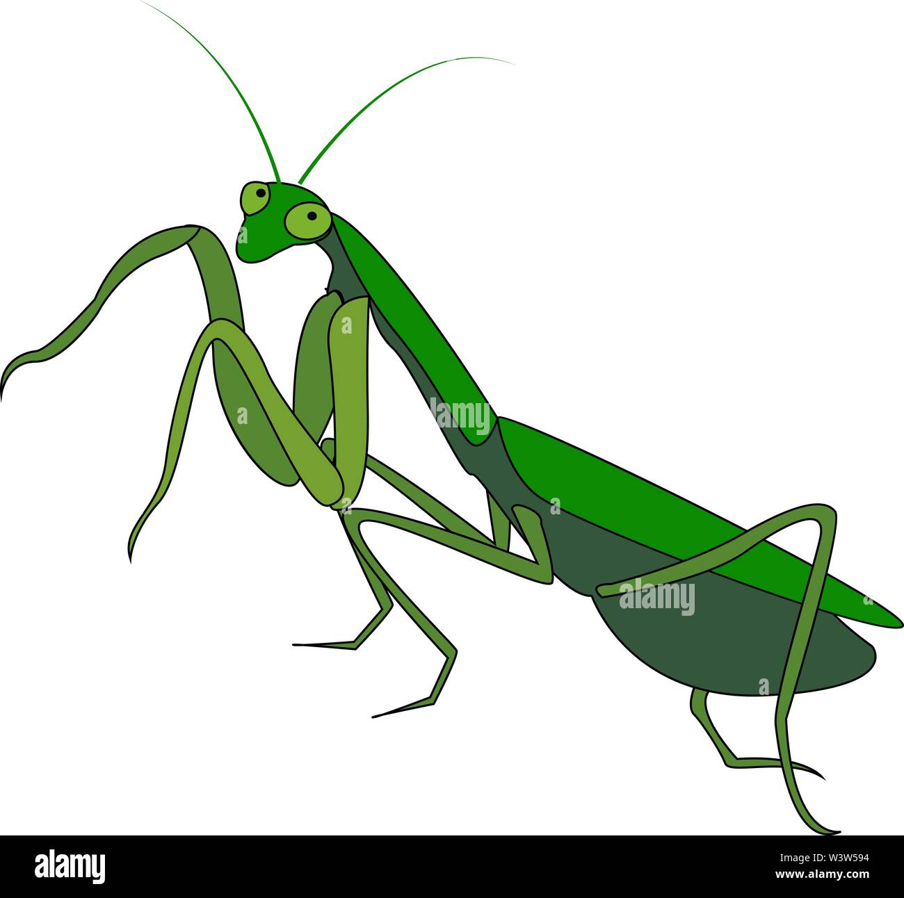 Green mantis, illustration, vector on white background Stock Vector ...