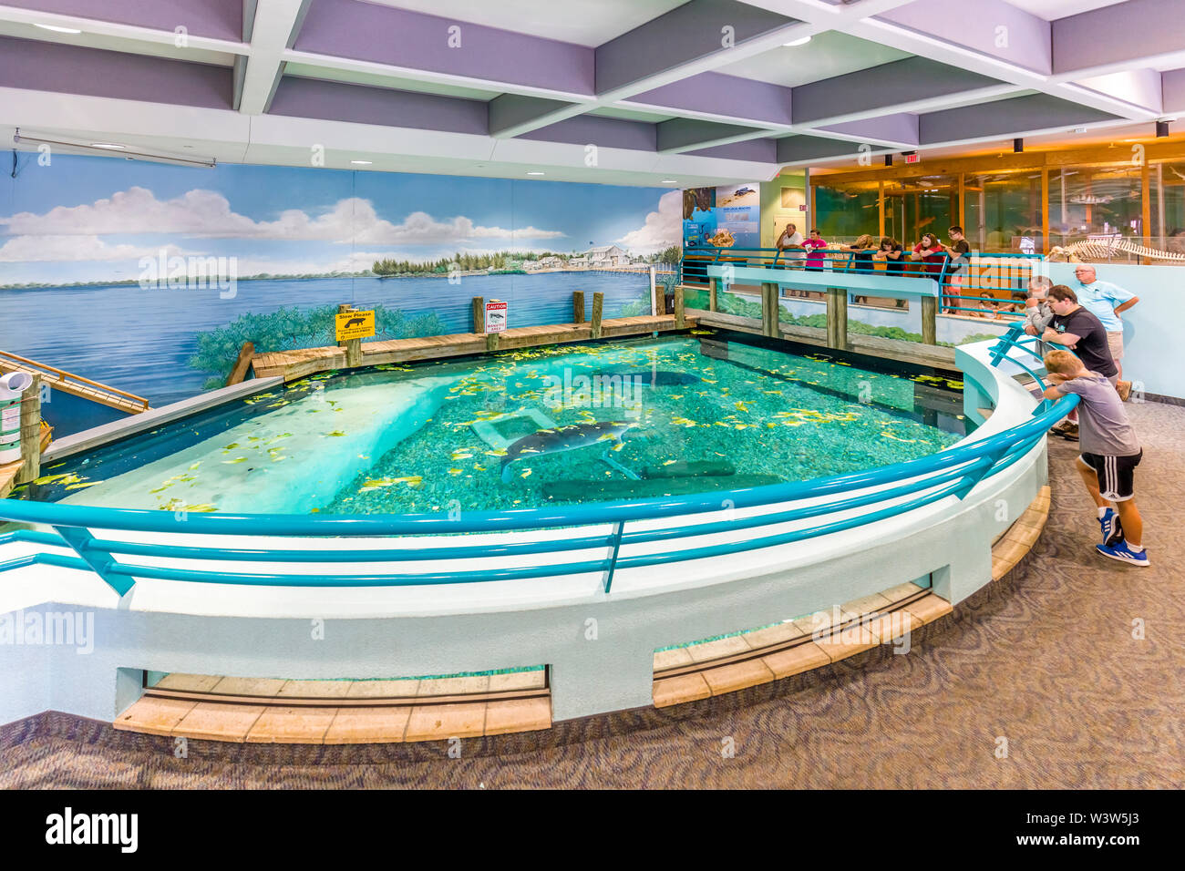 The Museum of Science and Nature previously The South Florida