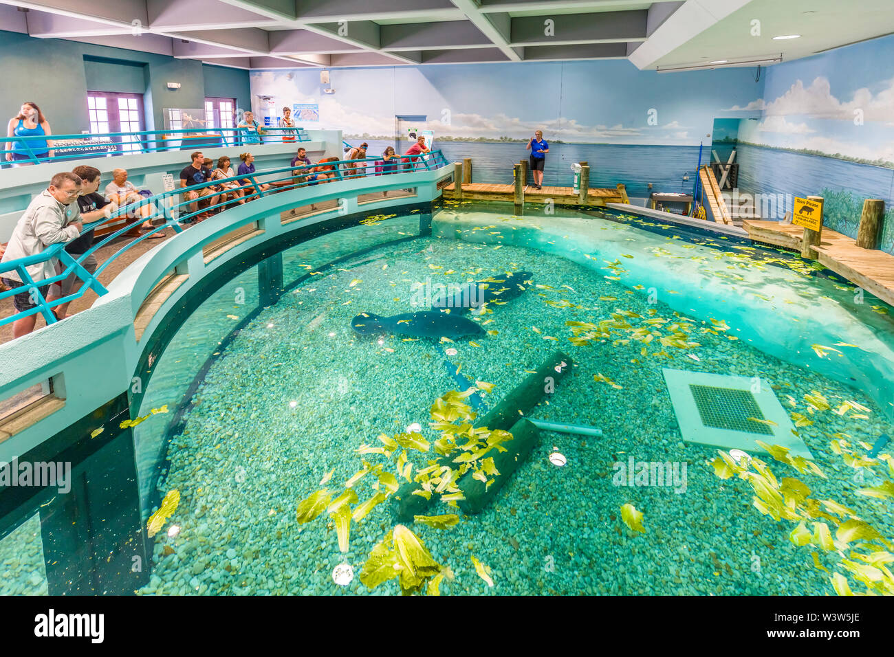 The Museum of Science and Nature previously The South Florida