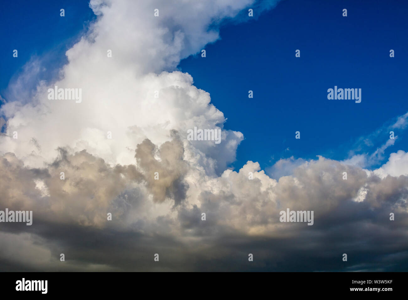 Thunderstorm over Venice in Florida Stock Photo