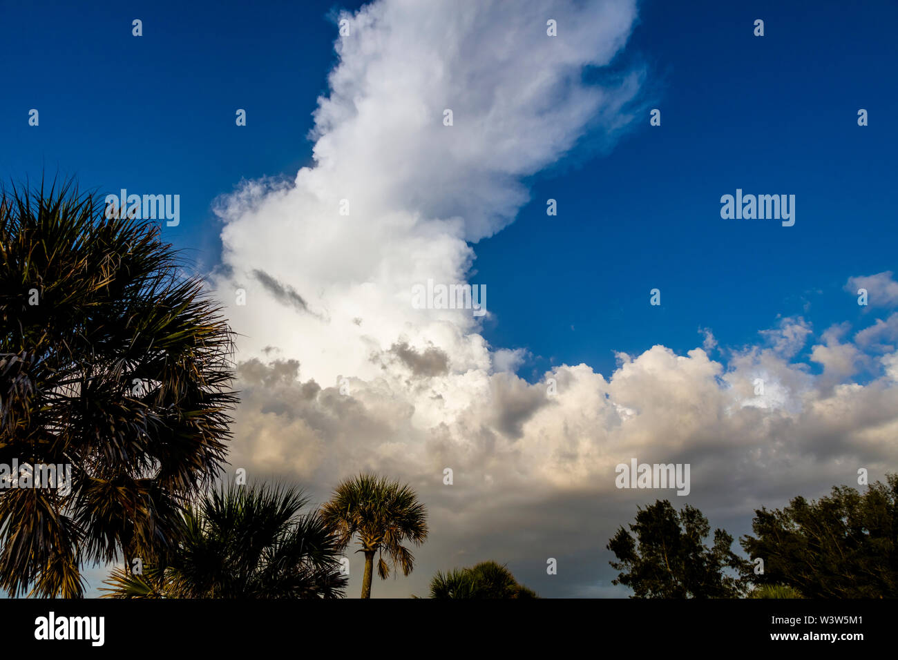 Thunderstorm over Venice in Florida Stock Photo
