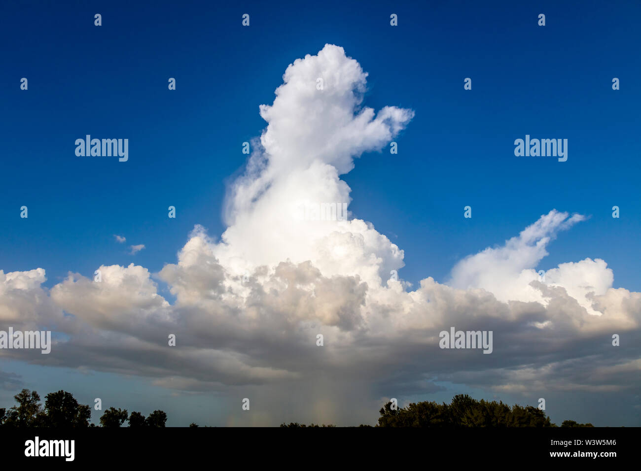 Thunderstorm over Venice in Florida Stock Photo