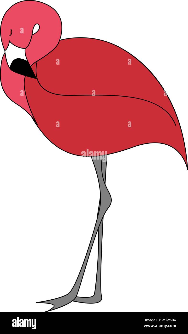 Sleeping flamingo, illustration, vector on white background. Stock Vector