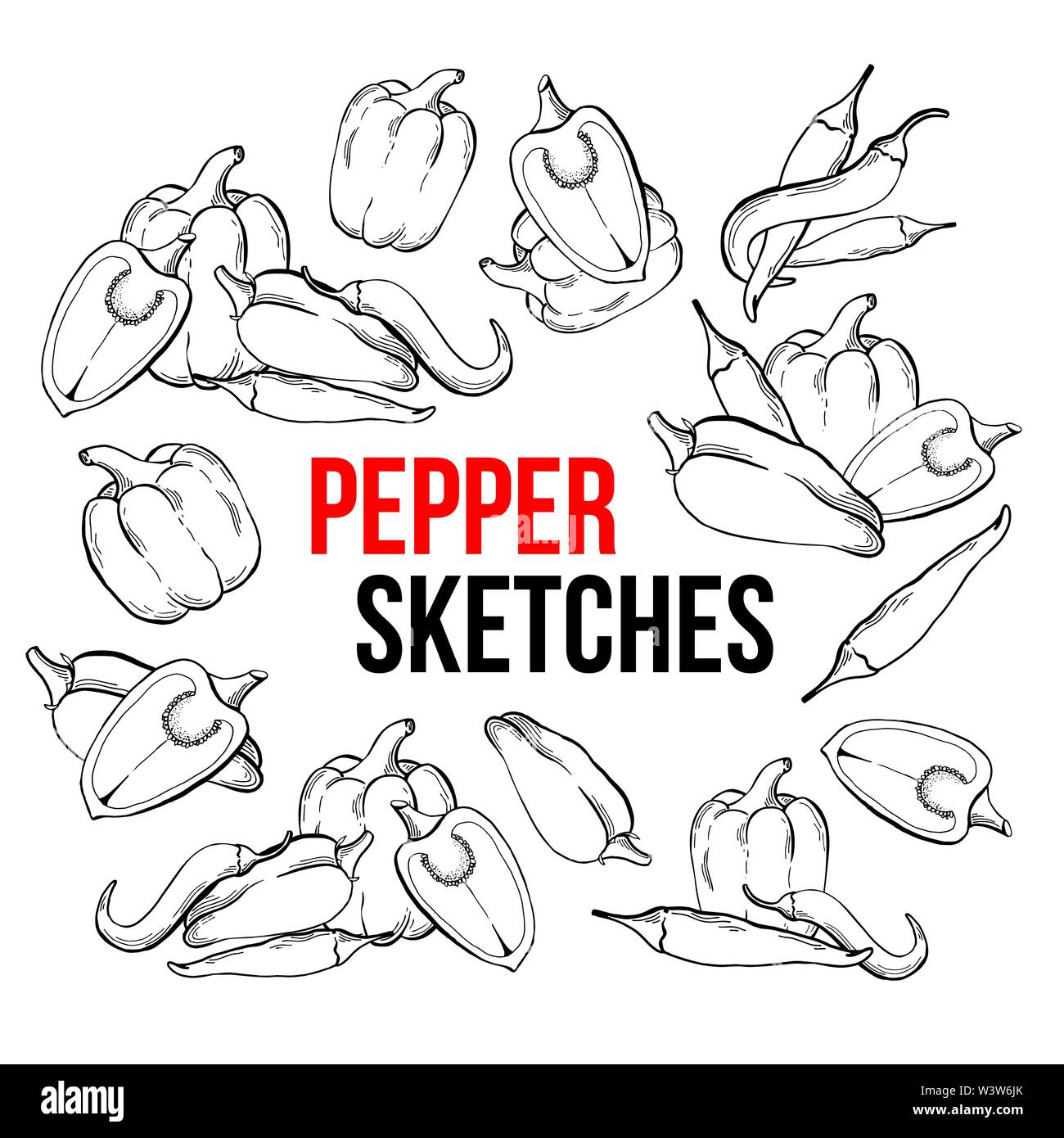 Peppers vegetarian food, vegetable handdrawn sketch isolated on white background. Different kinds of peppers, chili, jalapeno, cayenne, bell sweet. Engraved illustration of food ingredient. Vector set Stock Vector