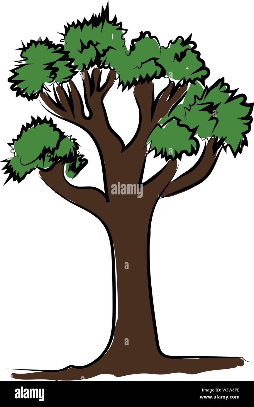 Tall Tree With Green Leaves Illustration Vector On White Background Stock Vector Image Art Alamy