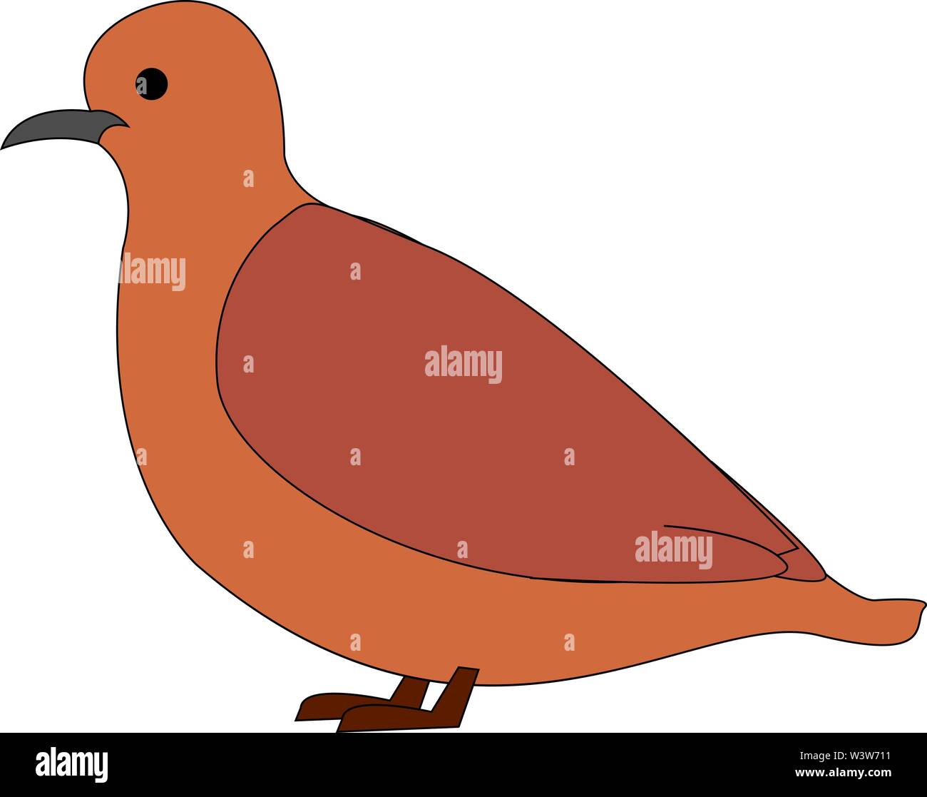 Wild brown pigeon, illustration, vector on white background. Stock Vector