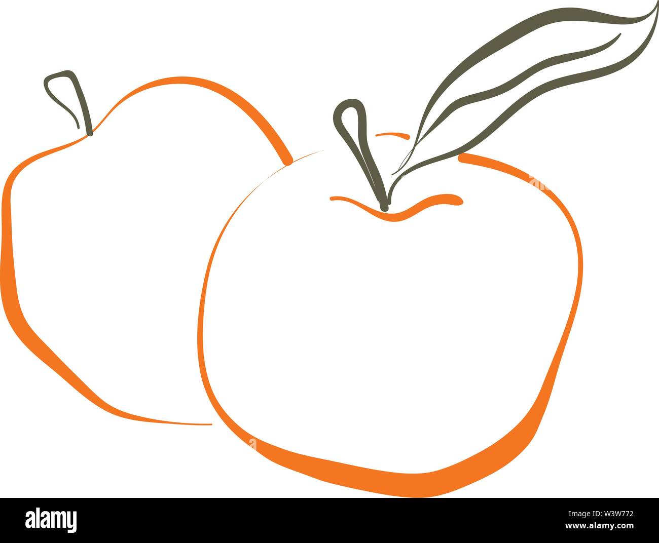 Apple drawing, illustration, vector on white background. Stock Vector