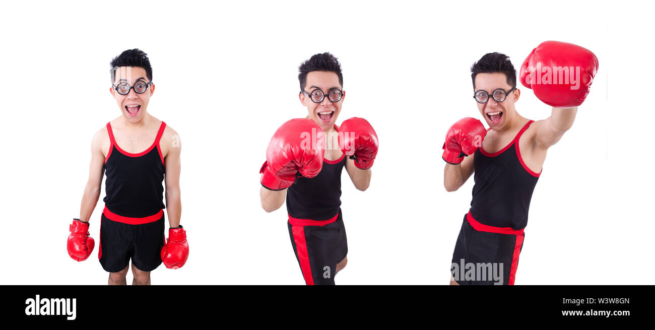 The funny boxer isolated on the white background Stock Photo - Alamy