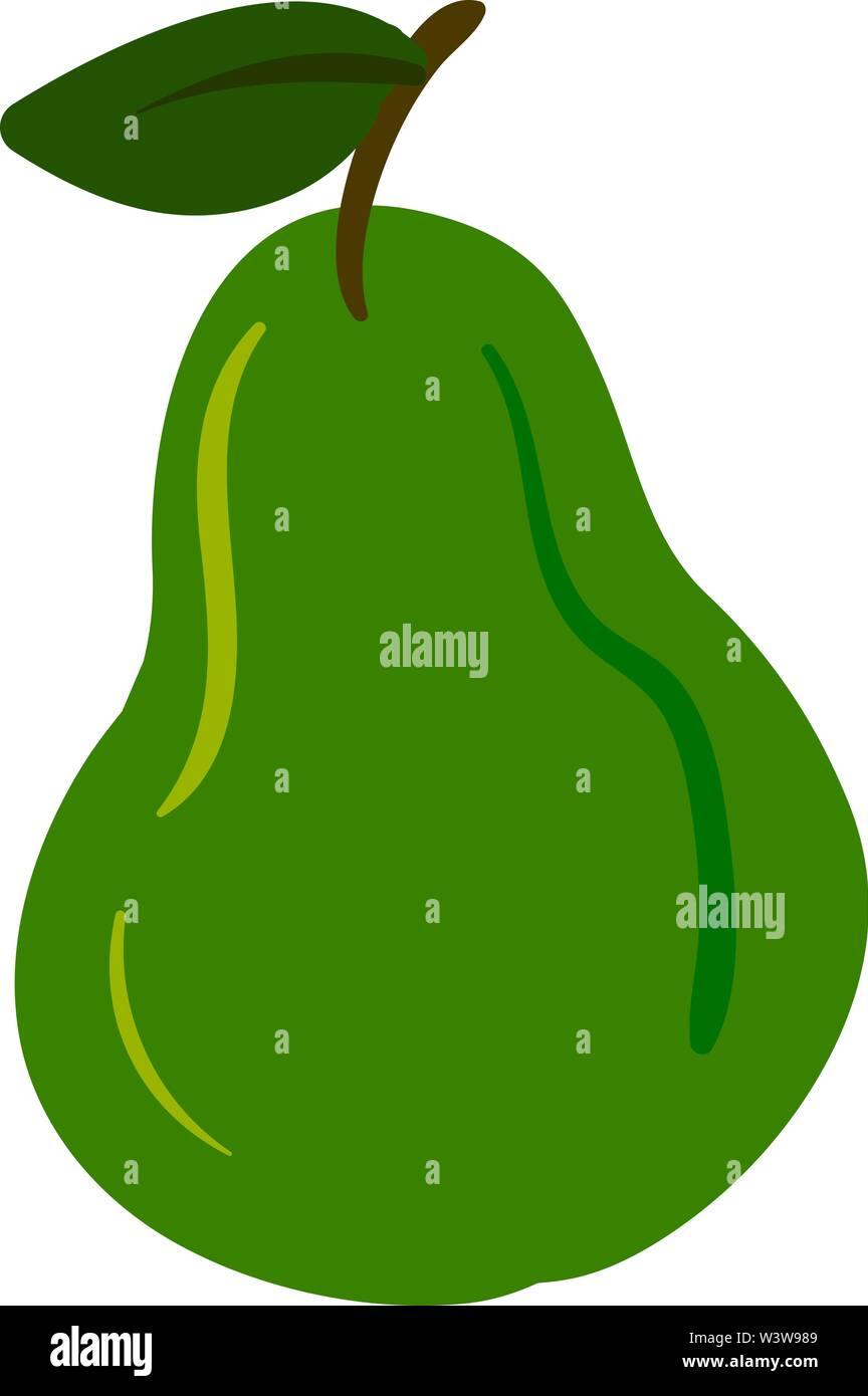 Green flat pear, illustration, vector on white background Stock Vector ...