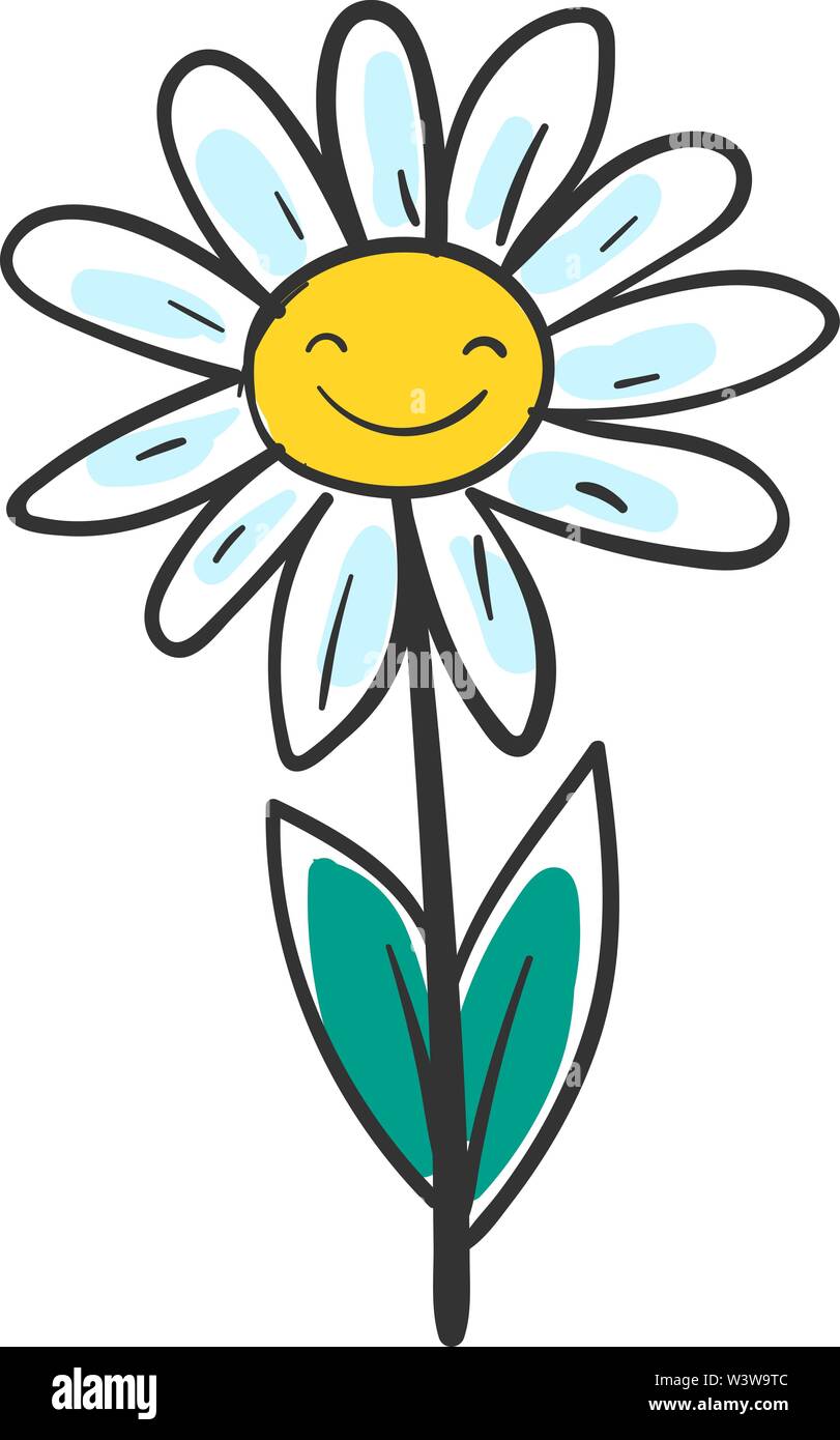 Smiling daisy, illustration, vector on white background. Stock Vector