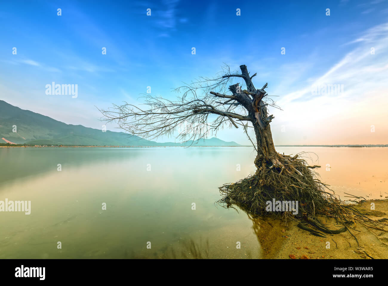 Lonely tree branches in the big lagoon at dawn with dramatic sky welcome the new day Stock Photo