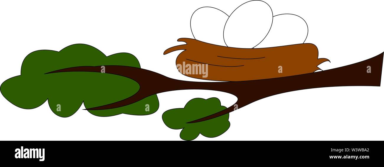 Nest with eggs, illustration, vector on white background. Stock Vector