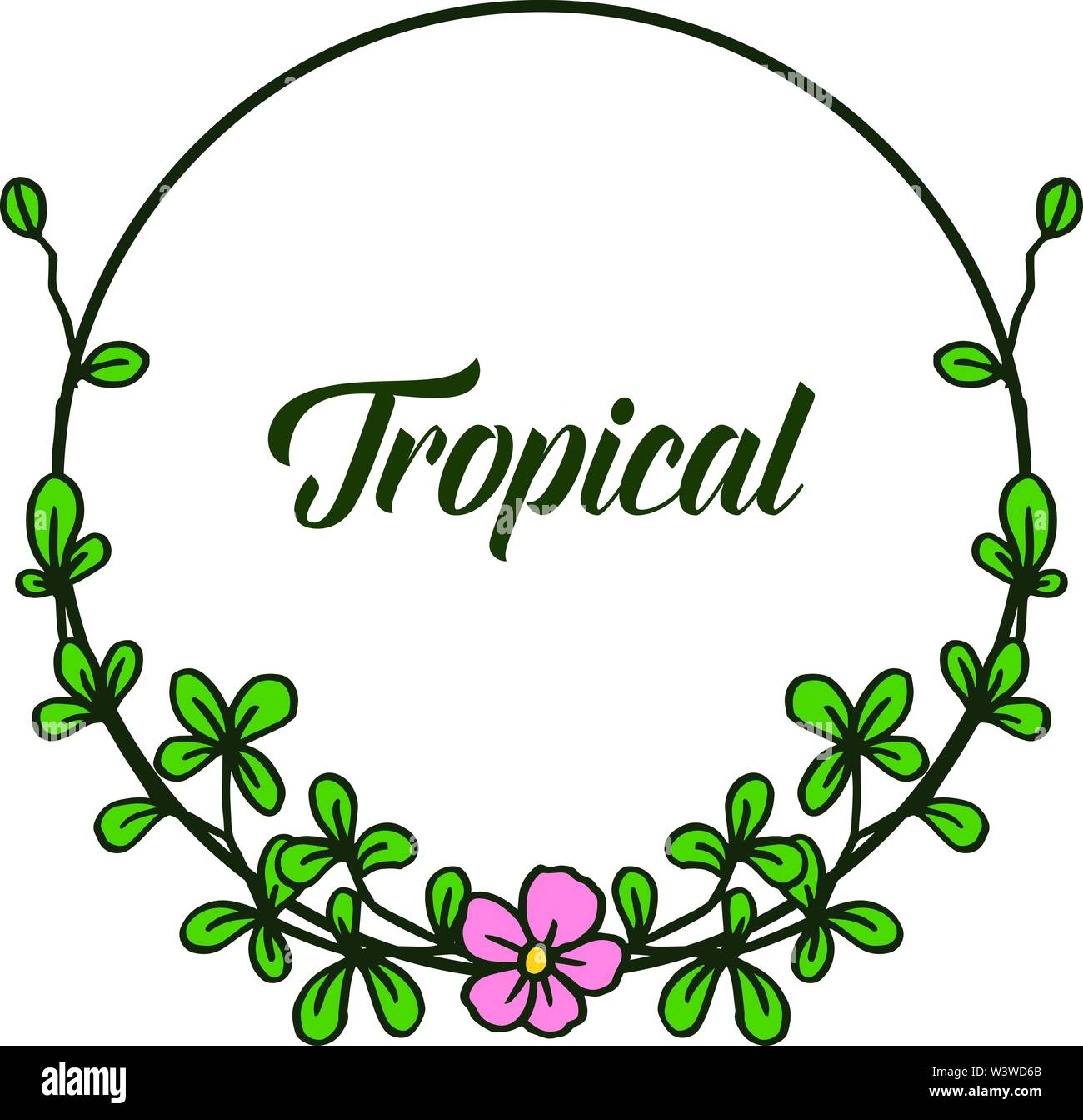 Decorative of card summer tropical for beauty green leaves and floral ...