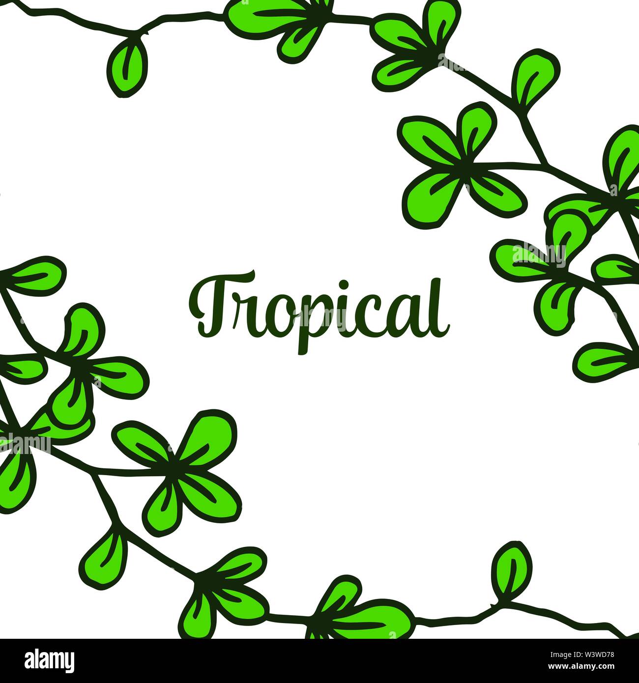 Decorative of card summer tropical for beauty green leaves and floral ...