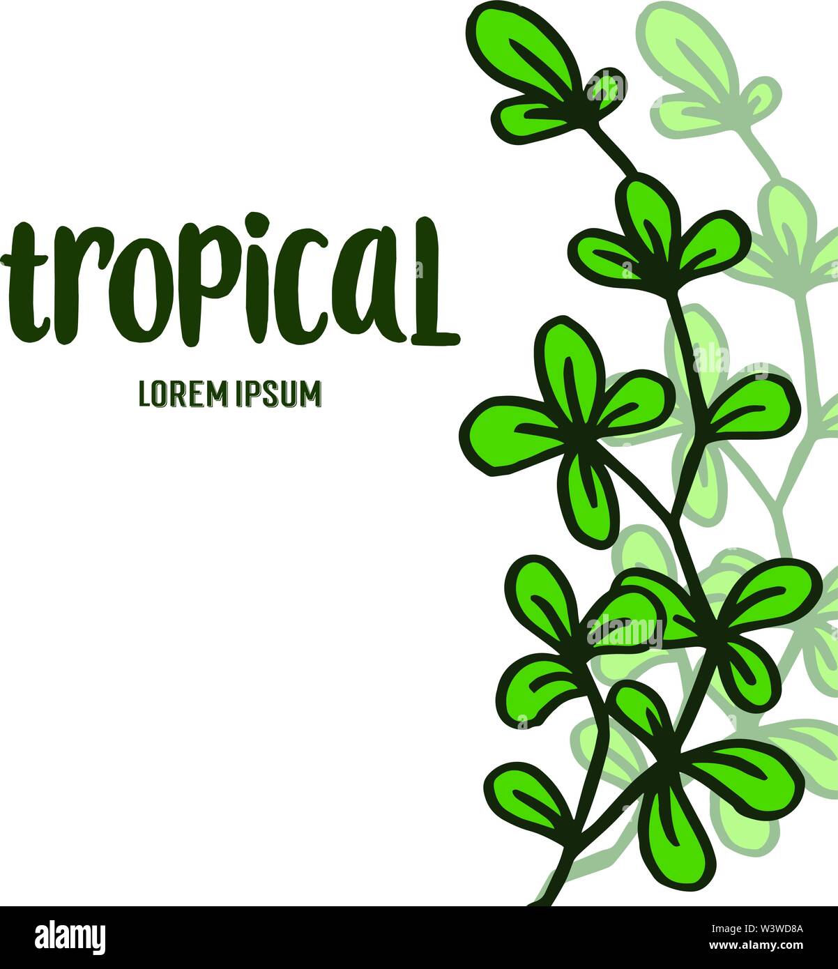 Decorative of card summer tropical for beauty green leaves and floral ...