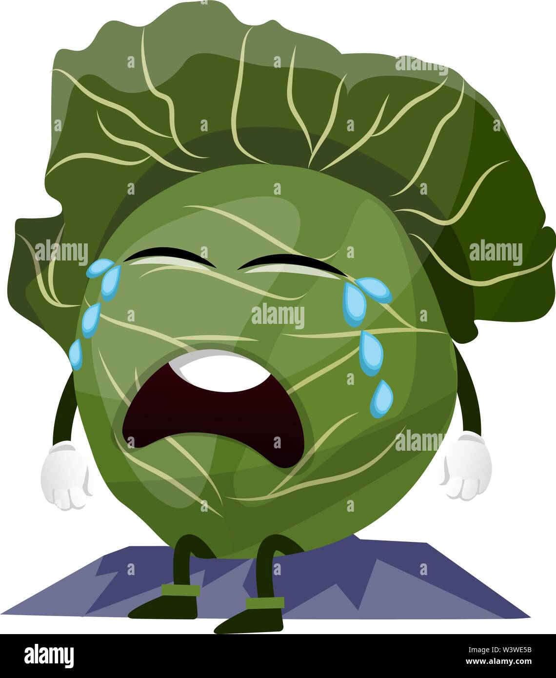 Crying cabbage, illustration, vector on white background. Stock Vector
