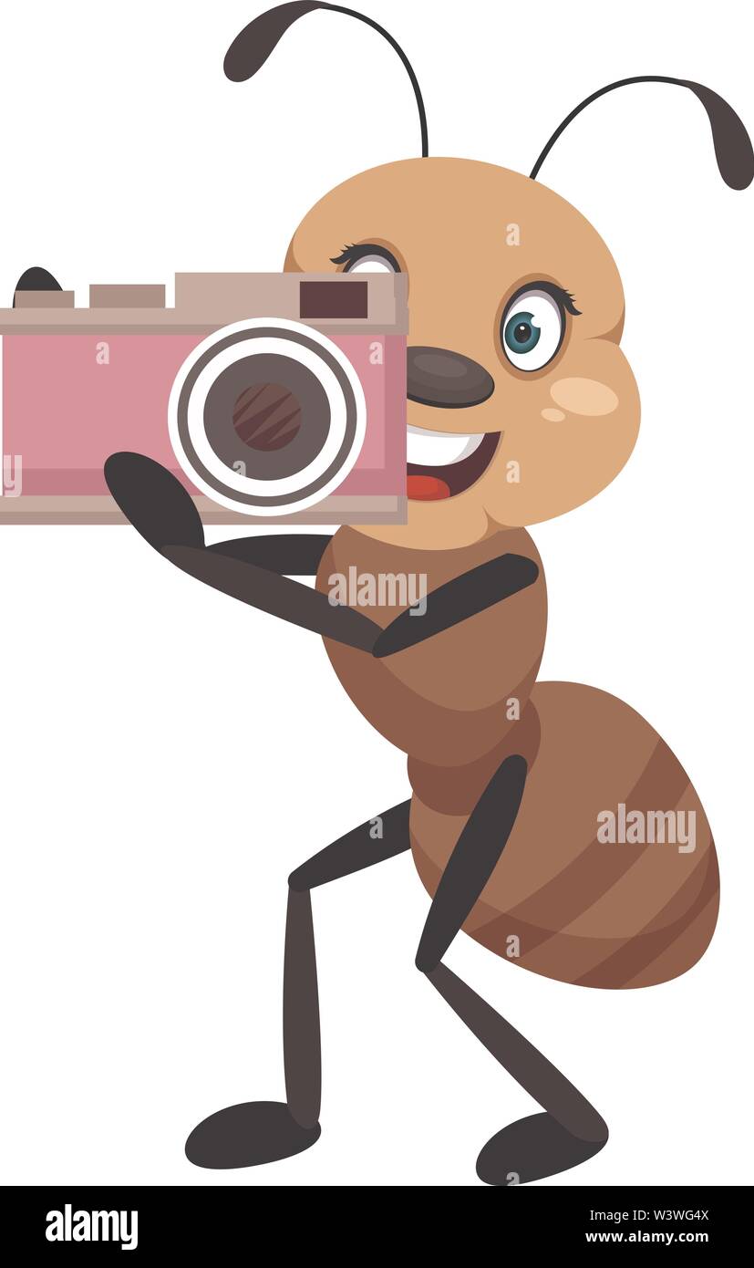 Ant with camera, illustration, vector on white background. Stock Vector