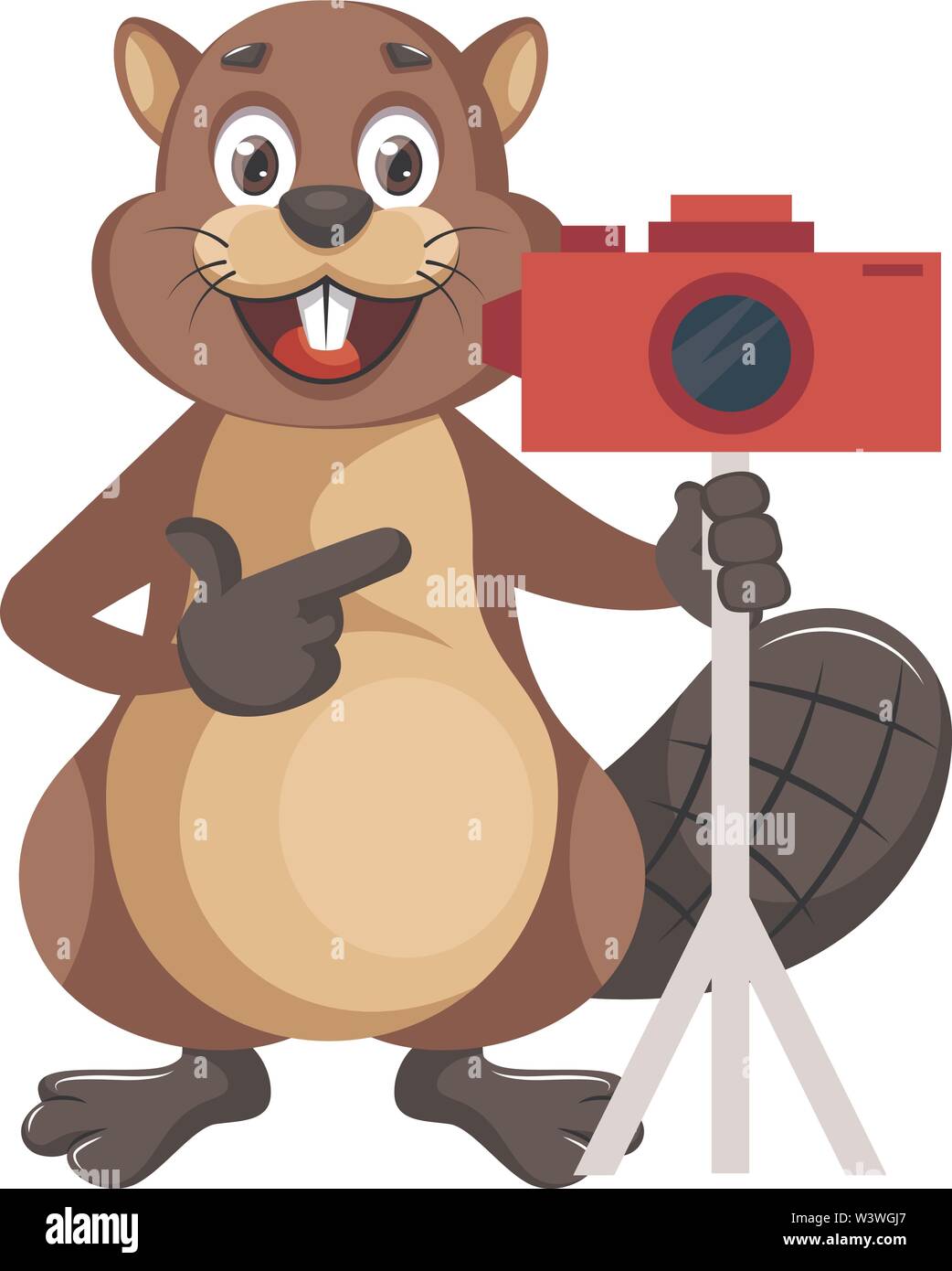 beaver with camera, illustration, vector on white background Stock ...