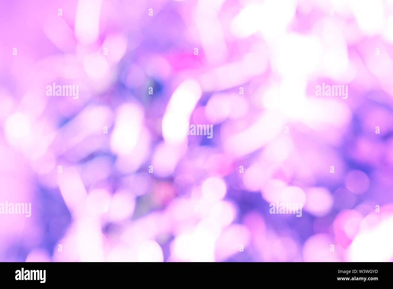 Abstract blurred natural purple background. Design backdrop Stock Photo ...