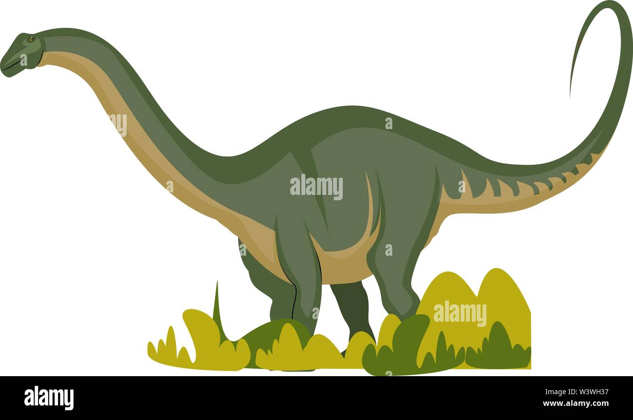 Apatosaurus, illustration, vector on white background. Stock Vector