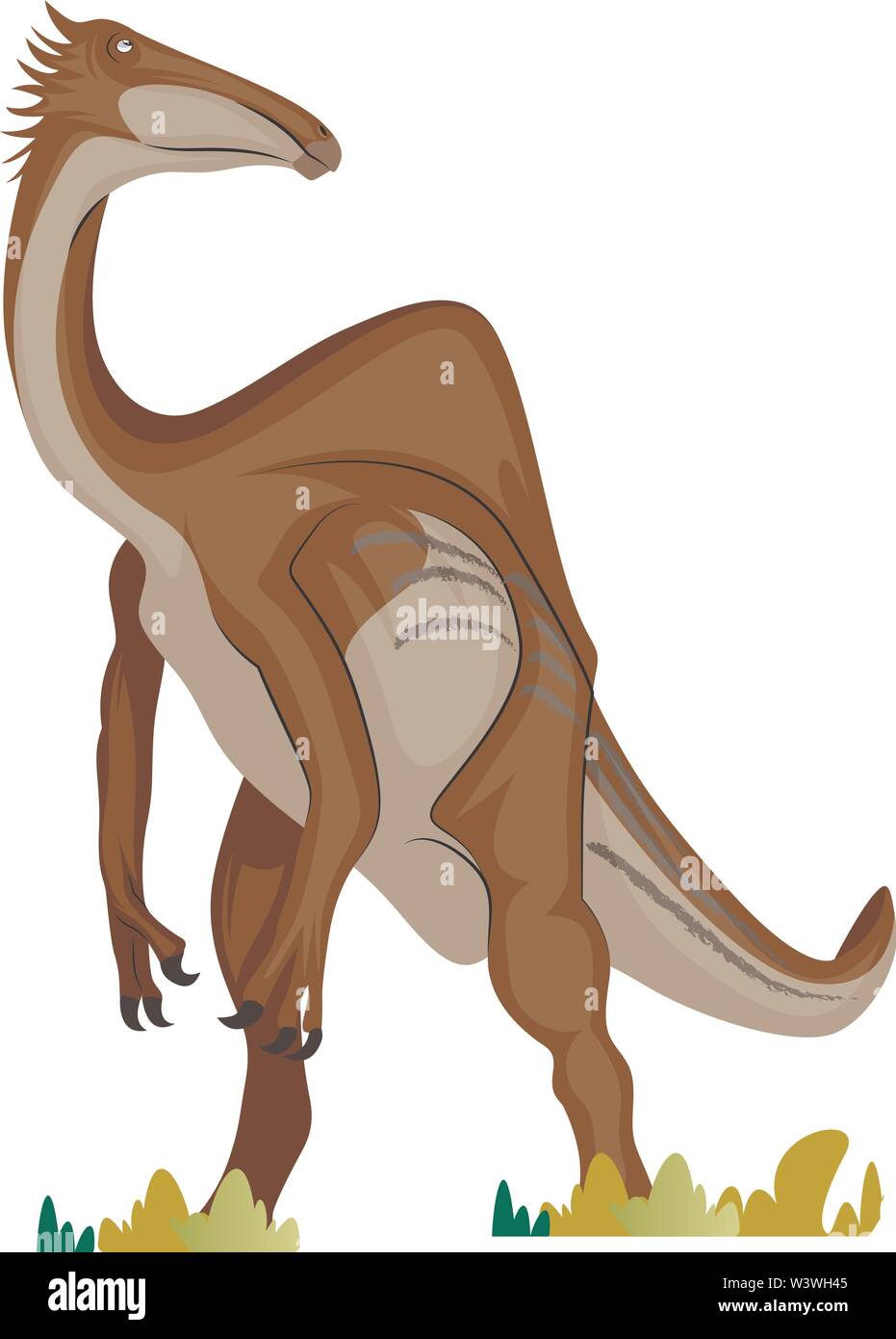 Deinocheirus Was An Ostrich Dinosaur That Lived During The Late Cretaceous  Period Of Mongolia High-Res Vector Graphic - Getty Images