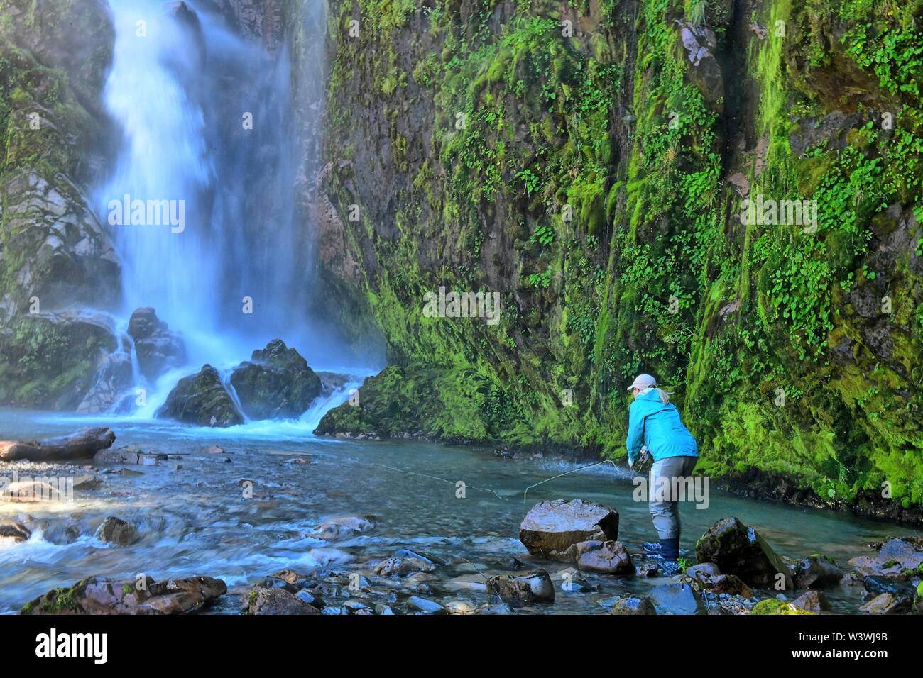 Cathy Beck casts into a beautiful waterfall while fly fishing in Chile Stock Photo
