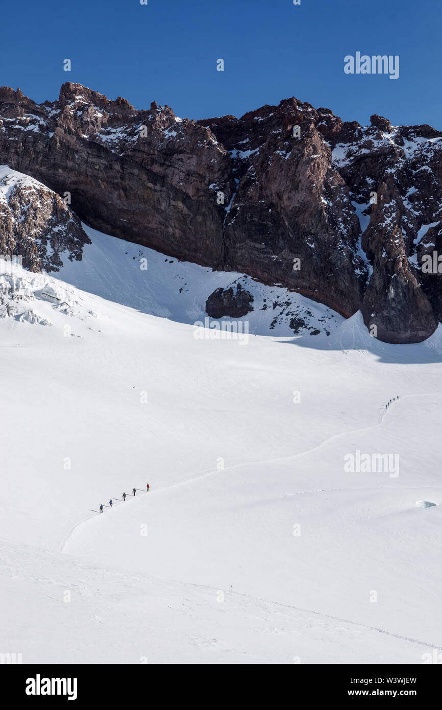 Climbing Rope Teams Descend a Trail Toward Camp Muir On Mount Rainier