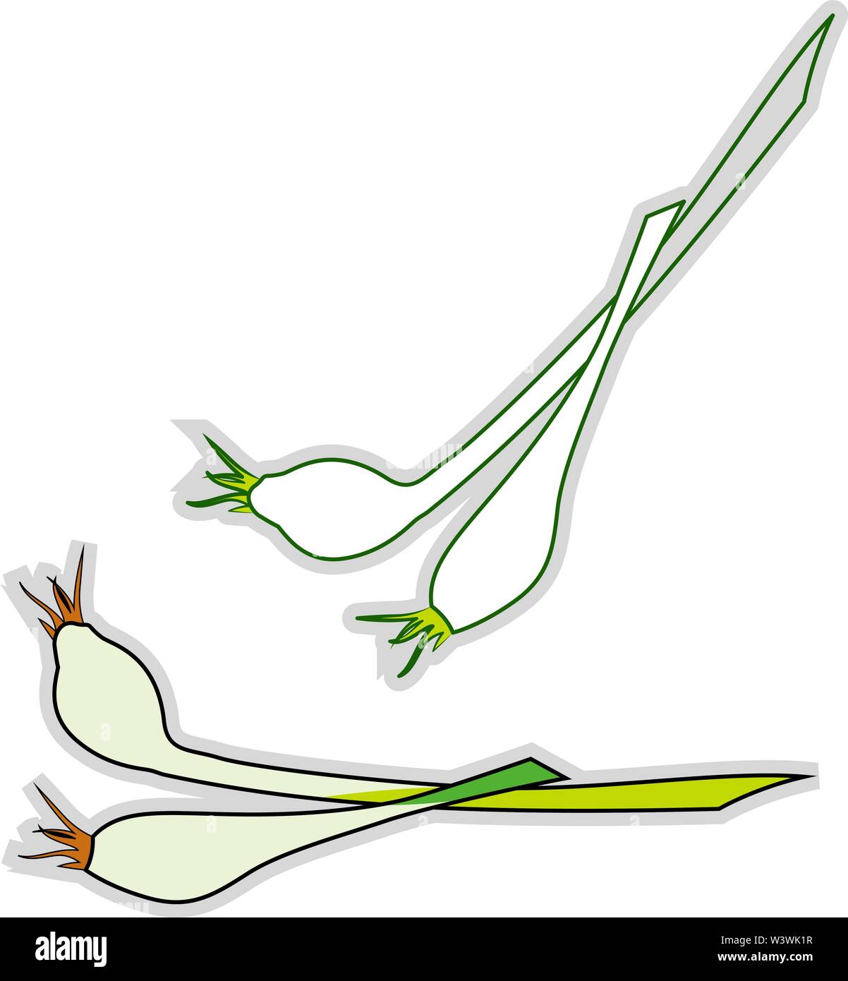 Fresh chives, illustration, vector on white background. Stock Vector