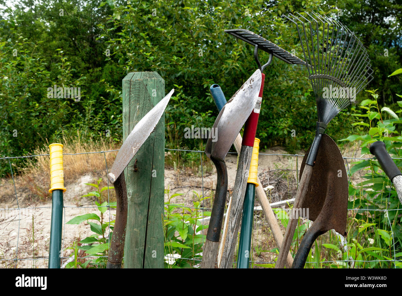 Tools are lined up along a fence to be used in a backyard vegetable garden. Stock Photo